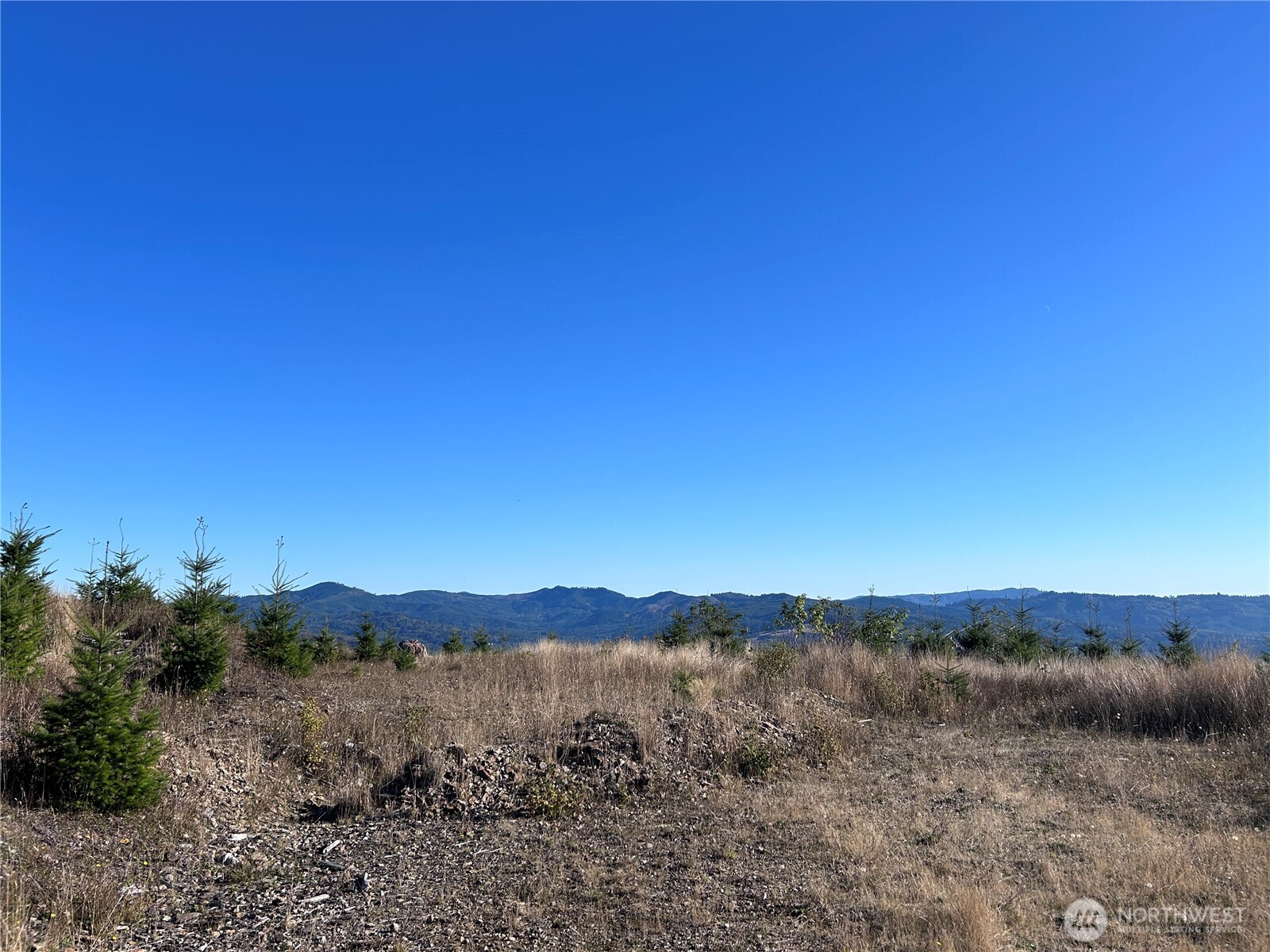2 Mt Brynion Road Kelso, WA 98626 - Photo 22 of 24