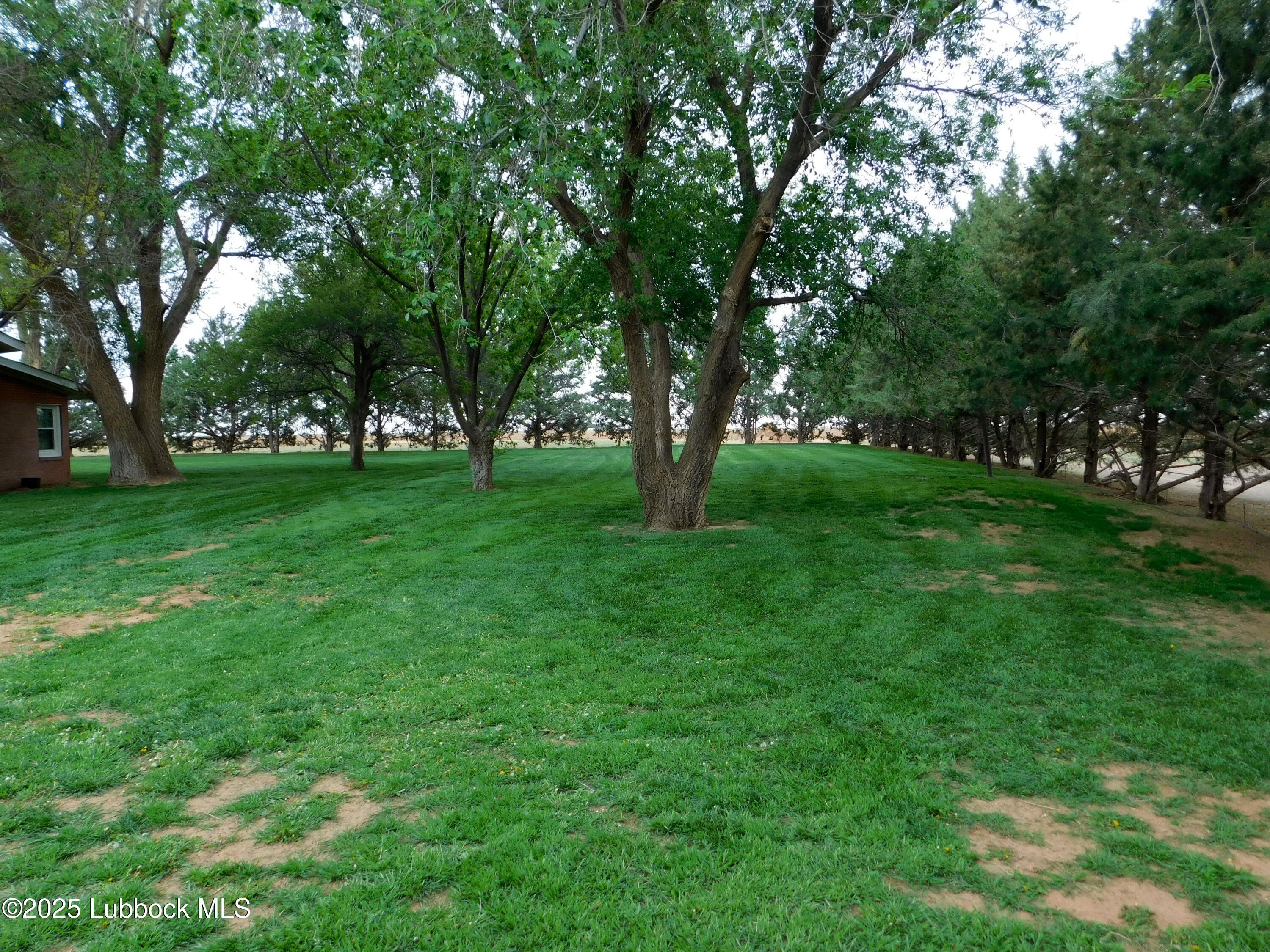 749 County Road 24 Friona, TX 79035 - Photo 10 of 30 DSCN1441