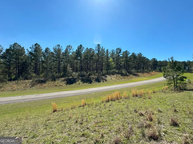 $30,000 | Tbd Lot 1 Tbd, Bainbridge, GA 39819