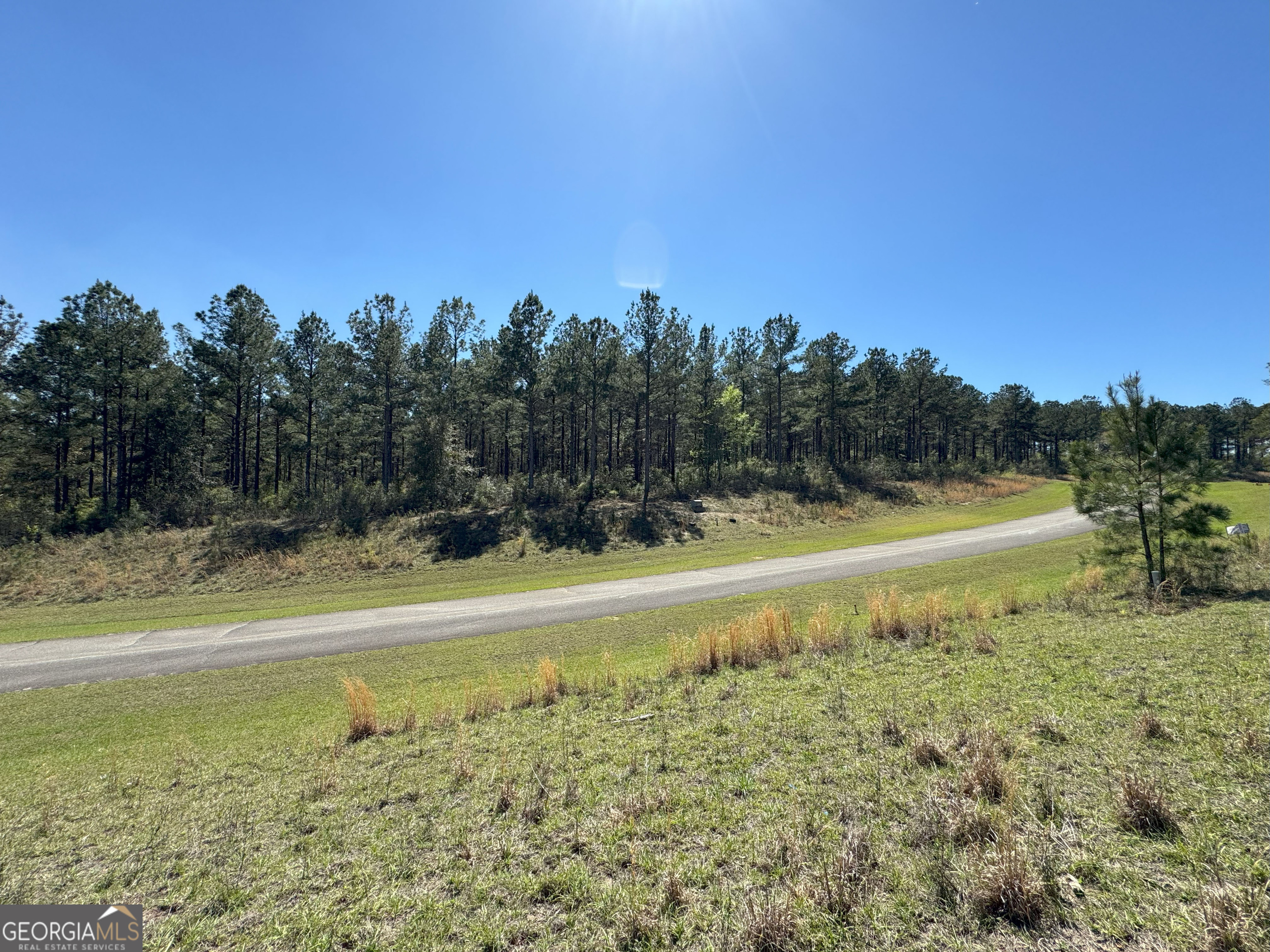 Tbd Lot 1 Tbd Bainbridge, GA 39819 - Photo 11 of 12