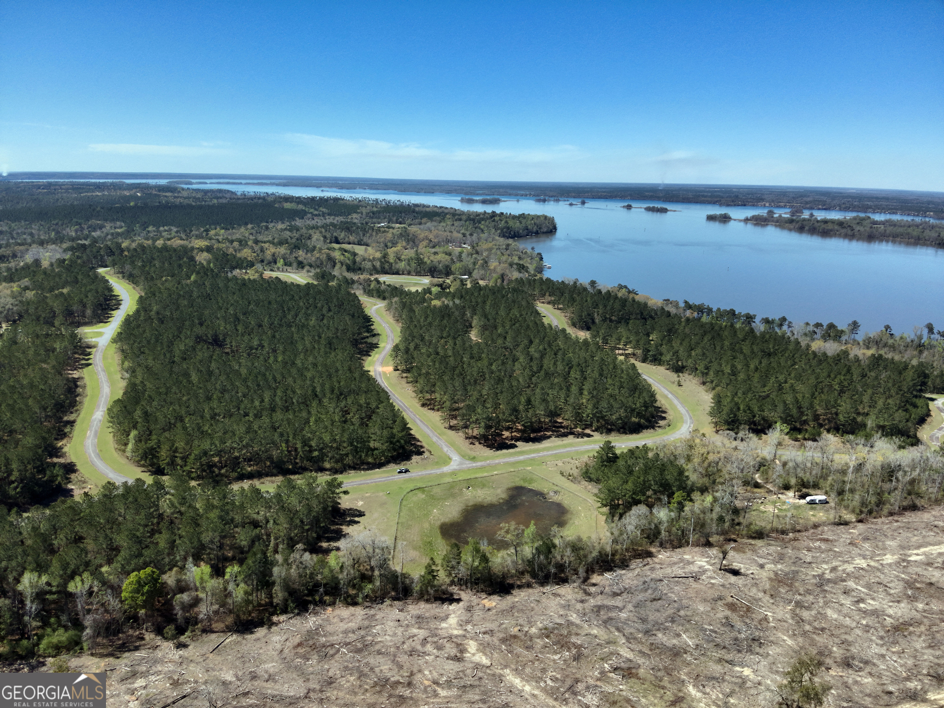 Tbd Lot 1 Tbd Bainbridge, GA 39819 - Photo 6 of 12