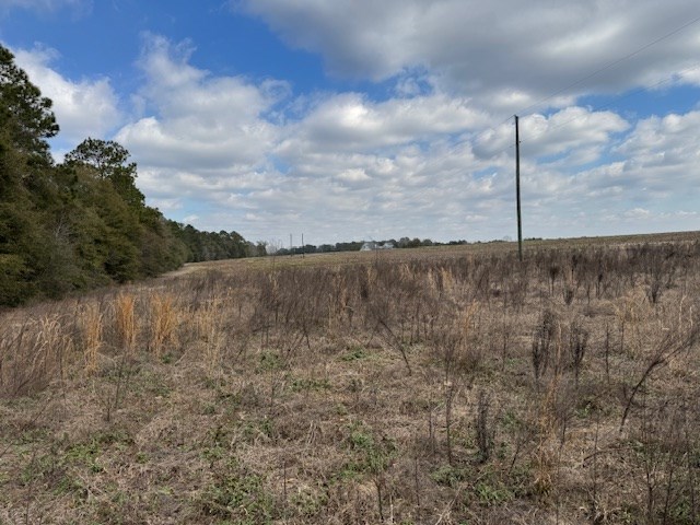 0 County Road 6 Geneva, AL 36340 - Photo 3 of 5
