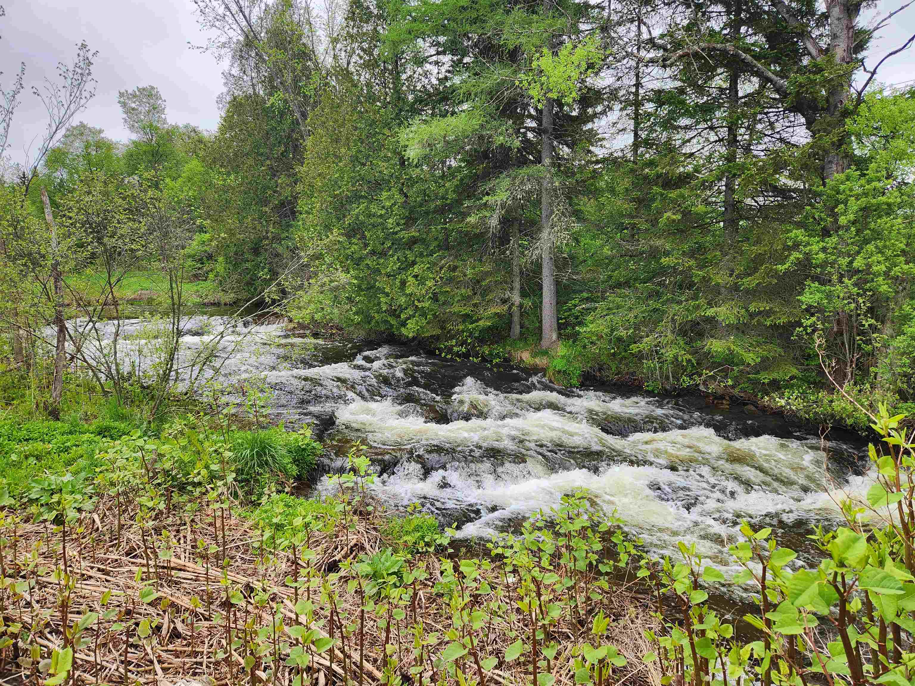 16 Northridge Road Burke, VT 05871 - Photo 6 of 42