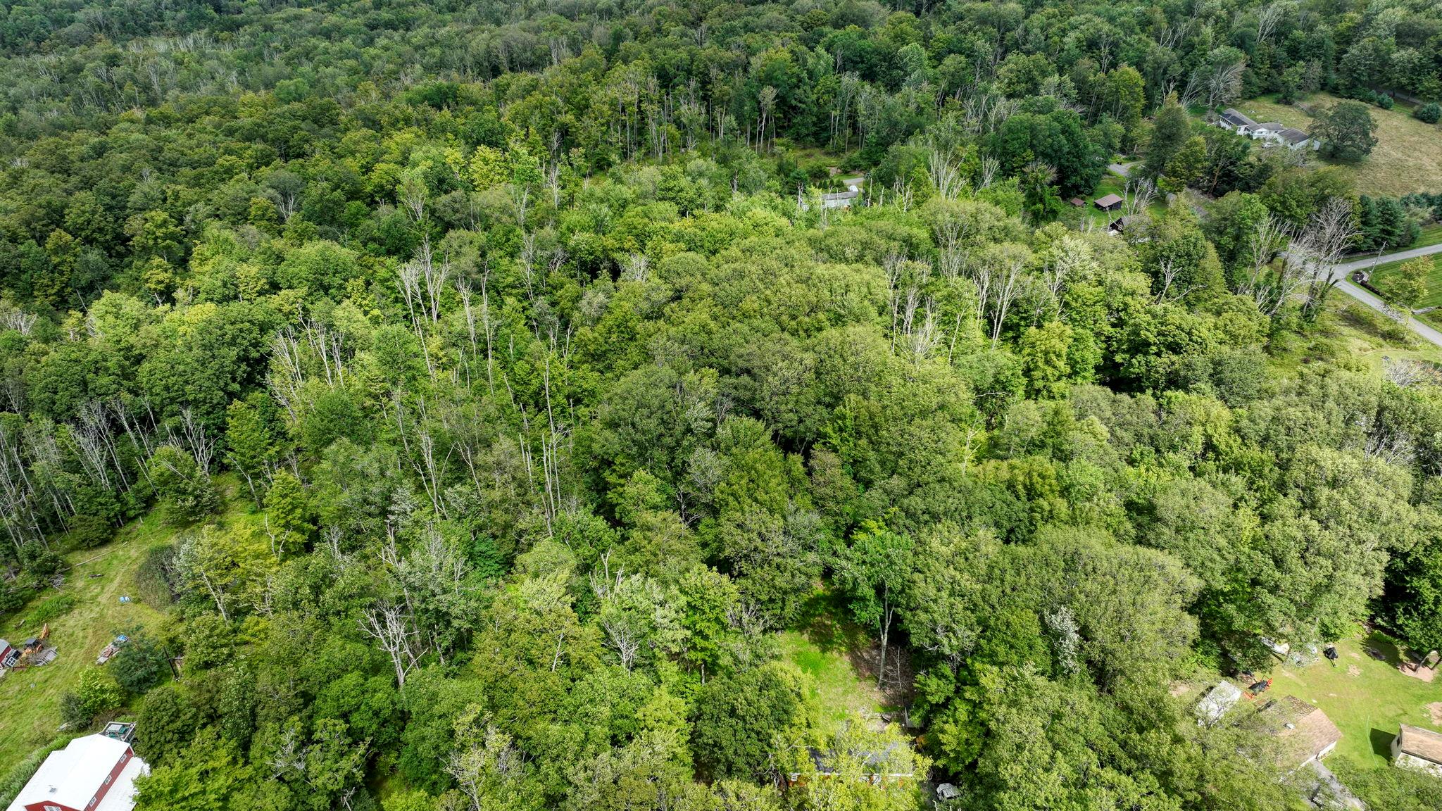181 Oak Ridge Road Greenfield Park, NY 12435 - Photo 4 of 22 Bird's eye view featuring a view of trees