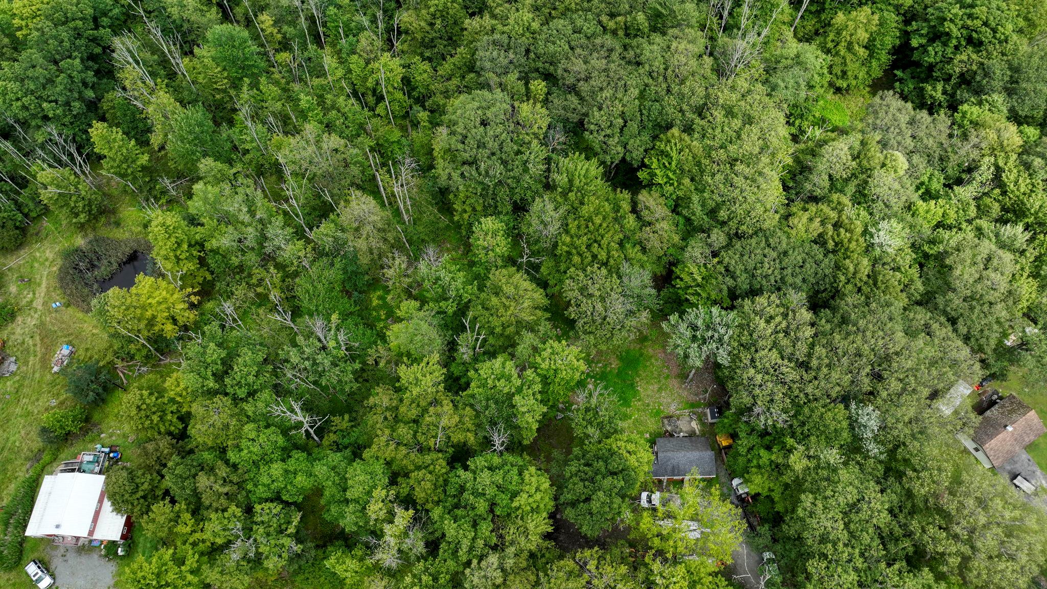 181 Oak Ridge Road Greenfield Park, NY 12435 - Photo 5 of 22 Drone / aerial view with a view of trees