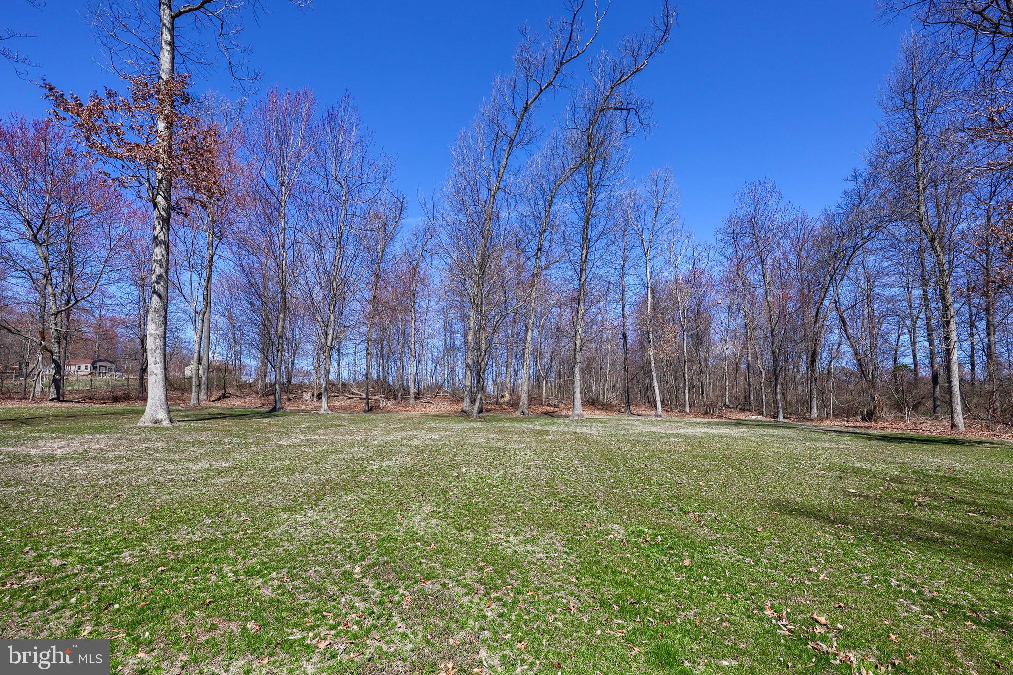 13 Upper Valley Road Christiana, PA 17509 - Photo 38 of 60 a yard with trees in the background