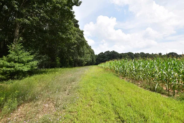 $750,000 | W8970 Cottonville Drive, Wautoma, WI 54982
