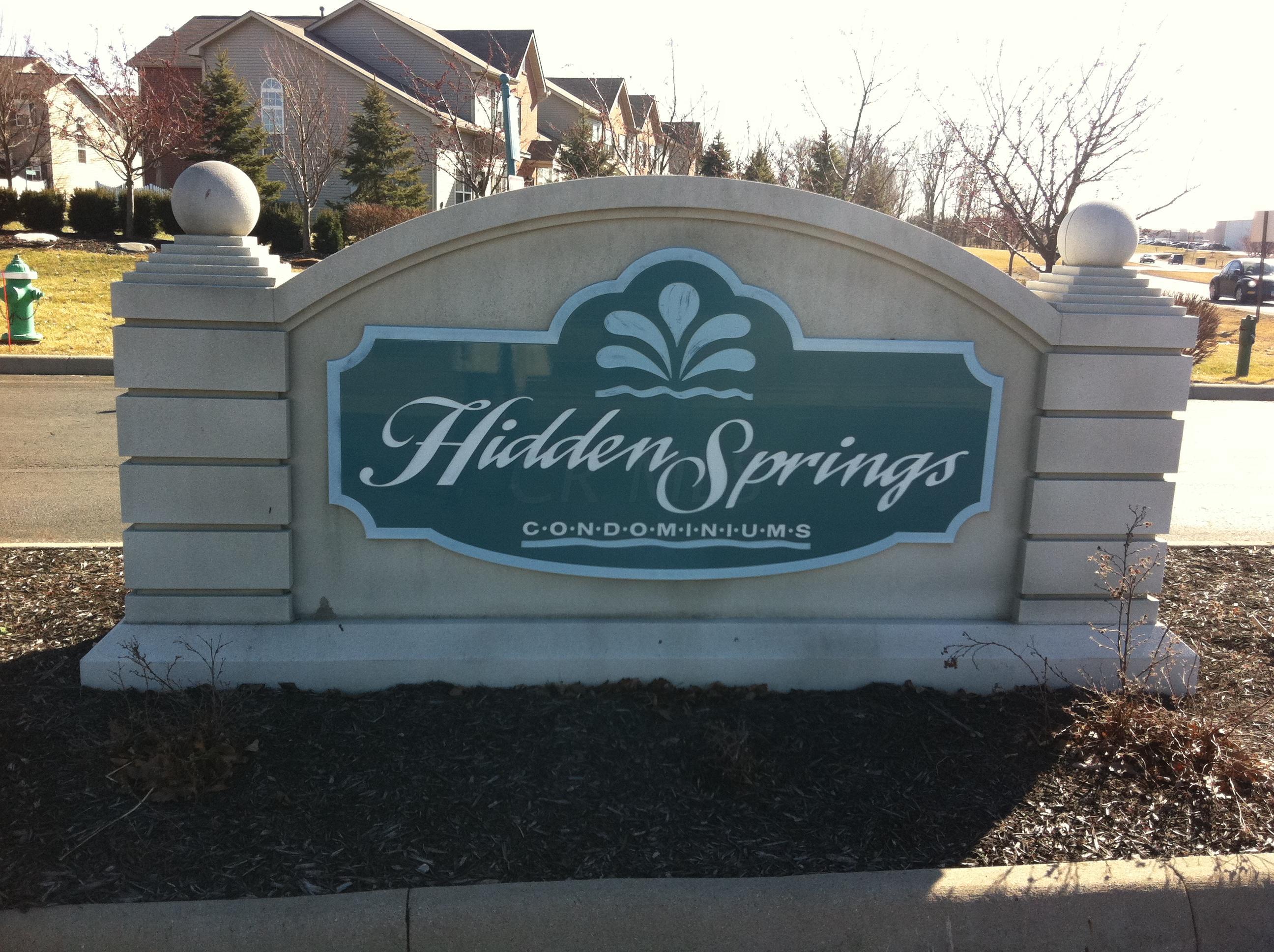 667 Spring Valley Drive Lewis Center, OH 43035 - Photo 29 of 32