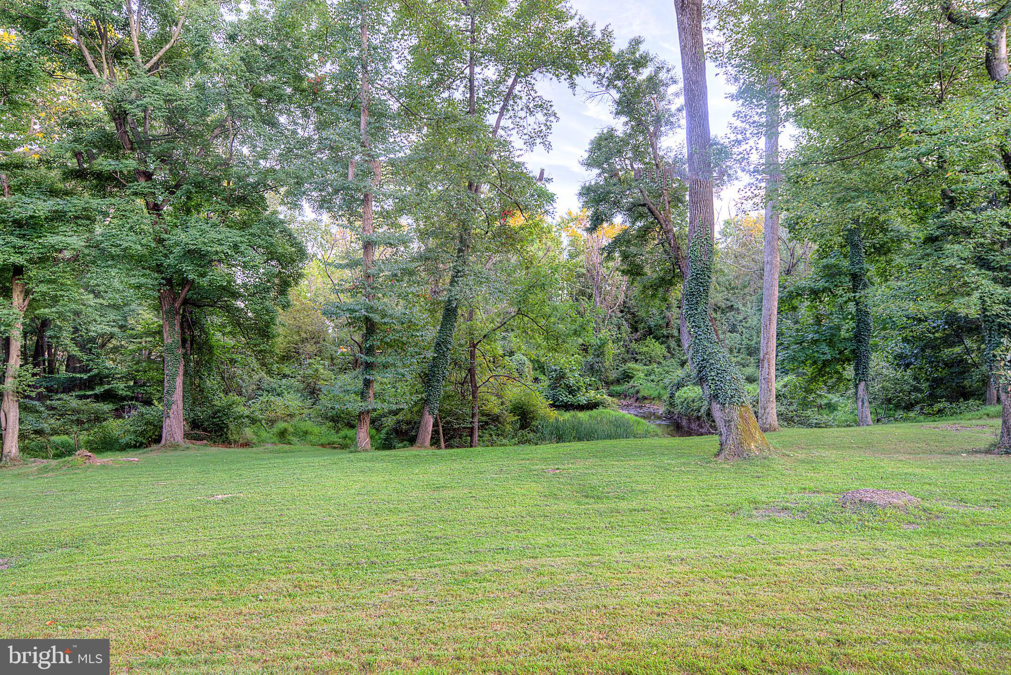 24 Birch Road Doylestown, PA 18901 - Photo 3 of 25