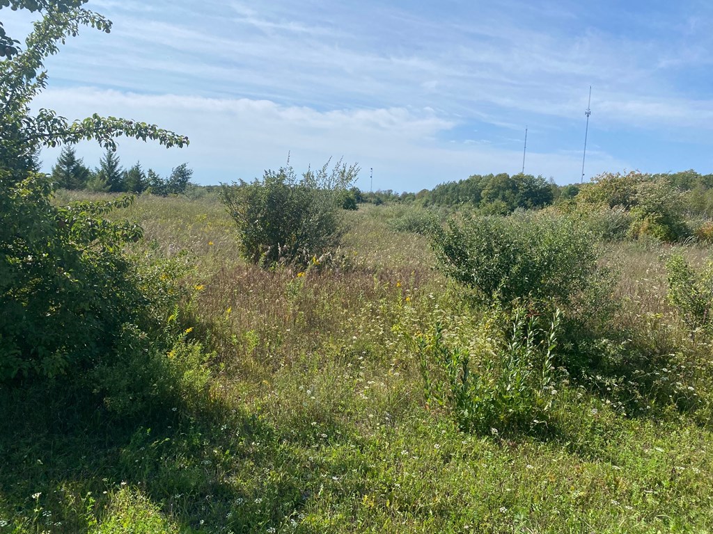 Tbd Humbug Road Ellison Bay, WI 54210 - Photo 2 of 11