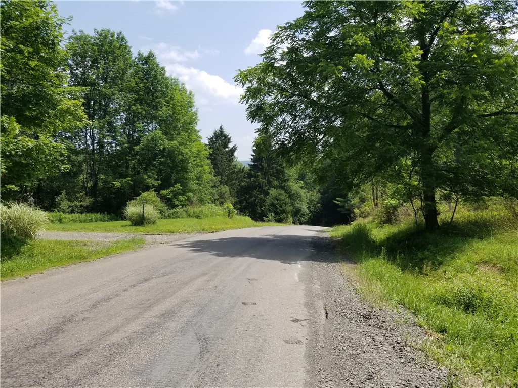 Lower Ravine Road Norwich, NY 13815 - Photo 23 of 23
