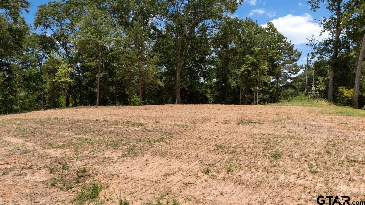 384 County Road Tyler, TX 75708 - Photo 3 of 8