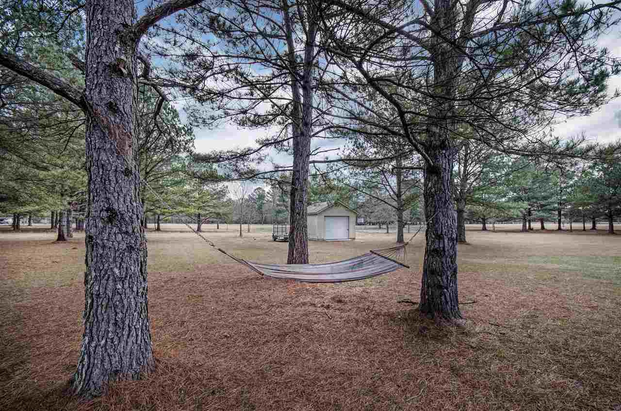416 Gabe Holcomb Road Brandon, MS 39042 - Photo 7 of 29 Photo 7