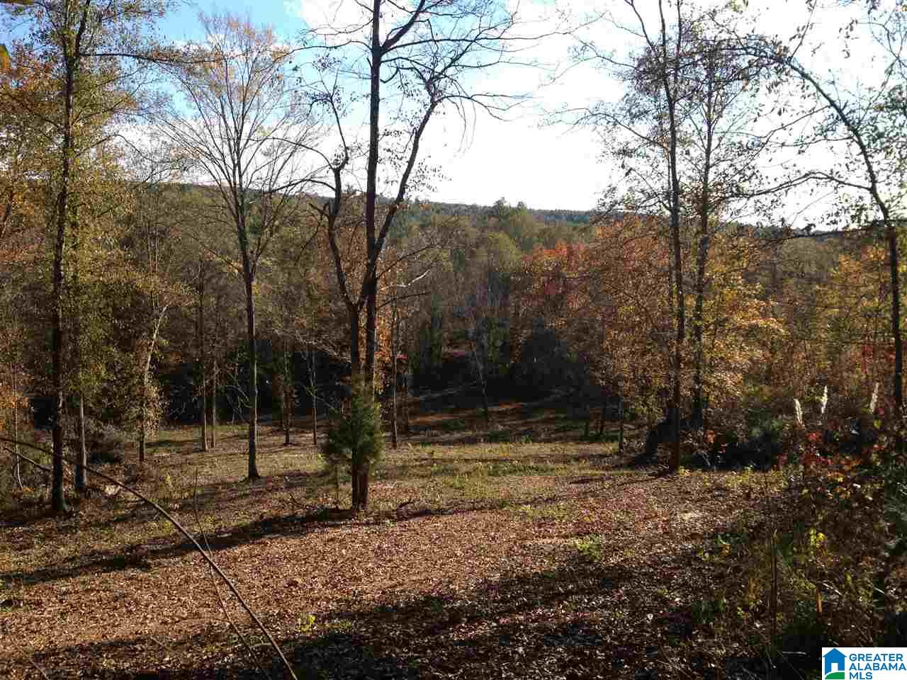 0 Jackson Loop Road, Unit 1 Ragland, AL 35131 - Photo 1 of 27