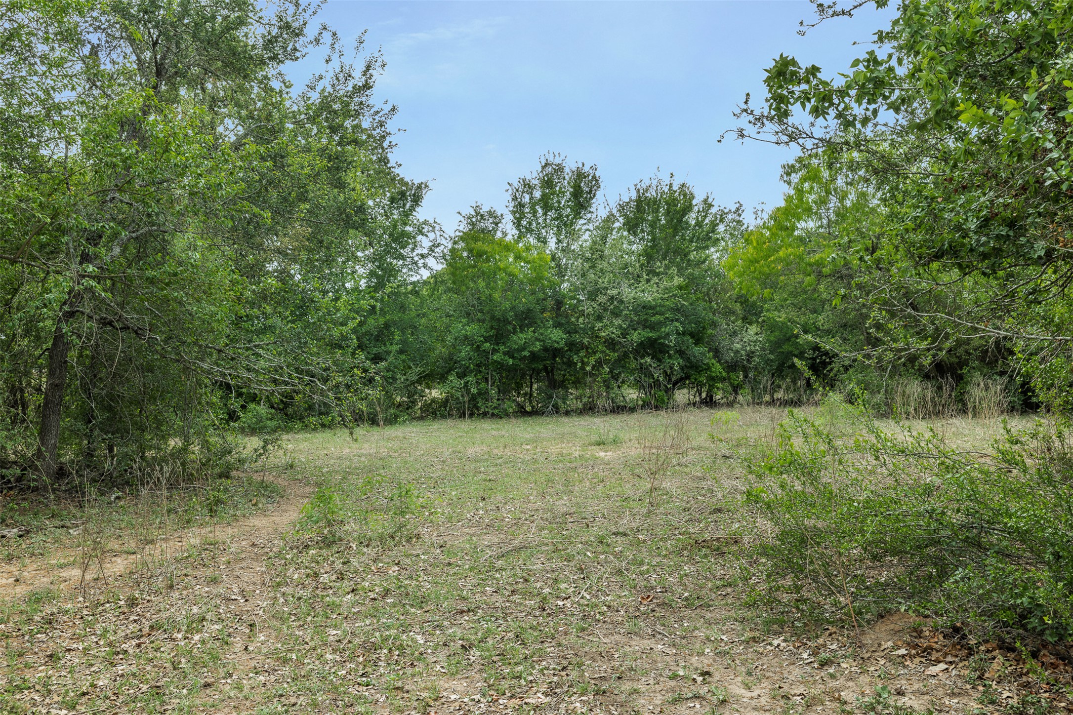 9765 State Park Road Lockhart, TX 78644 - Photo 35 of 40 a view of a yard with a tree