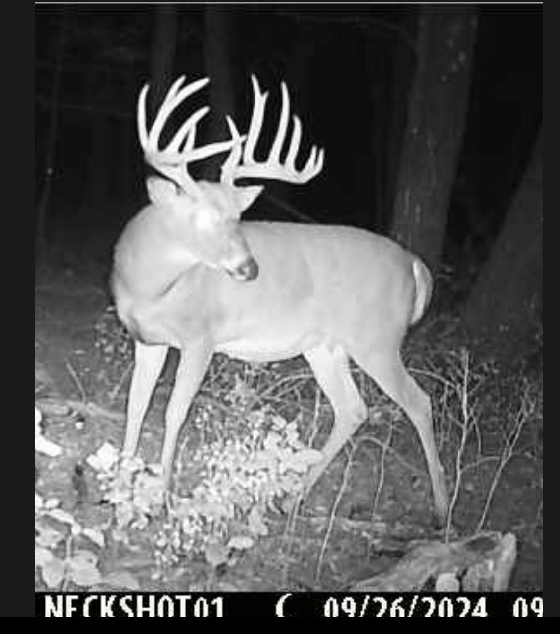 E853 Bestul Road Scandinavia, WI 54977 - Photo 13 of 87