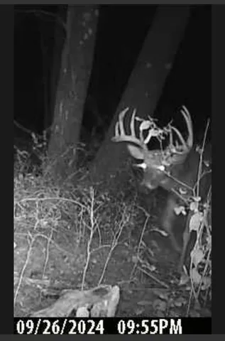 $1,631,000 | E853 Bestul Road, Scandinavia, WI 54977