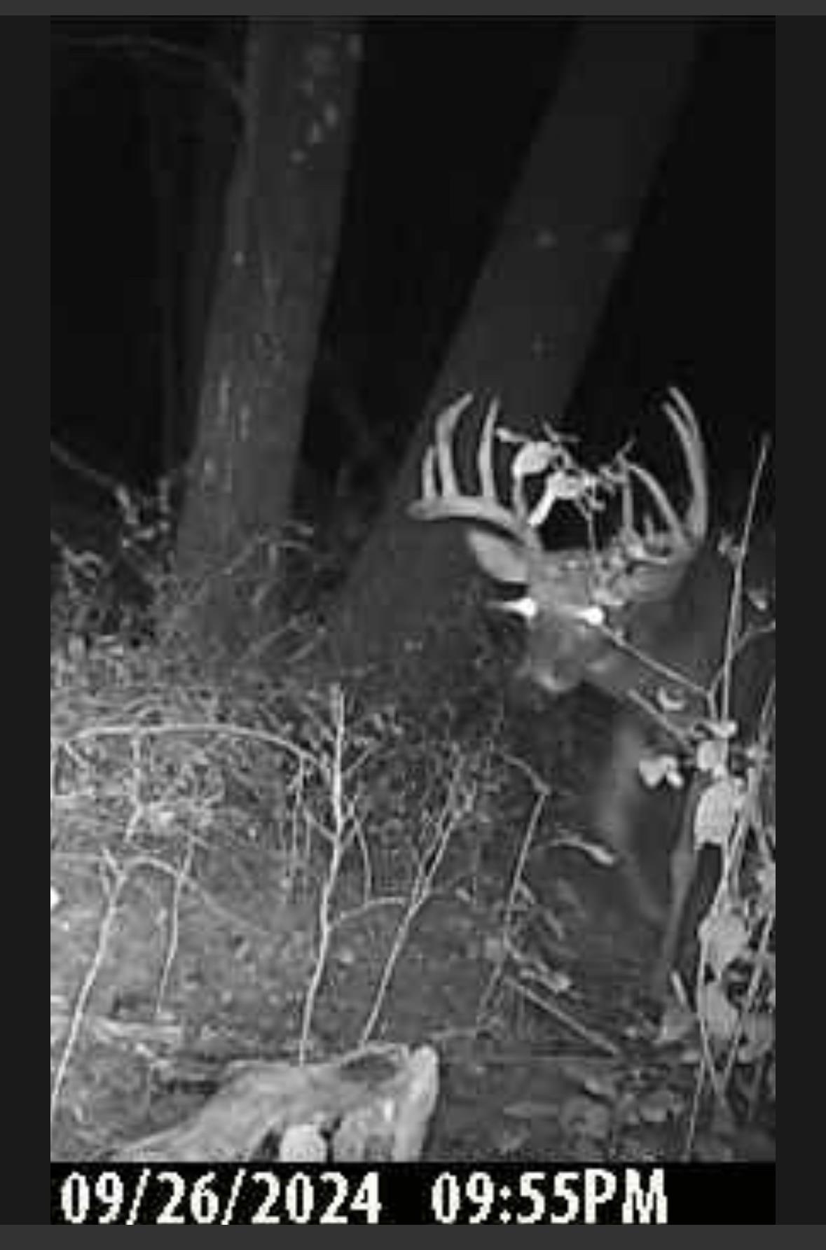 E853 Bestul Road Scandinavia, WI 54977 - Photo 15 of 87