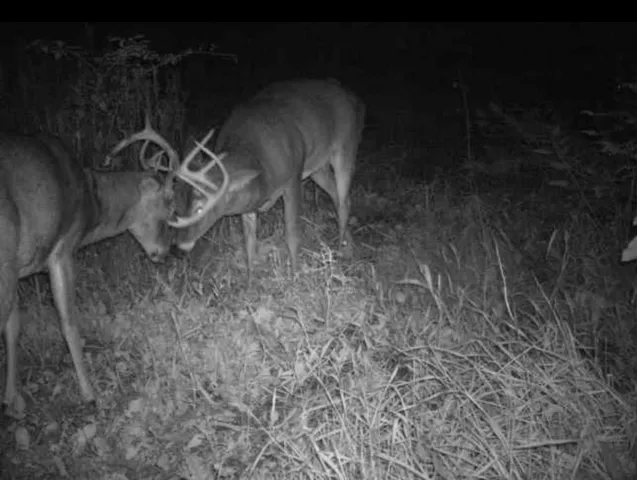 $1,631,000 | E853 Bestul Road, Scandinavia, WI 54977