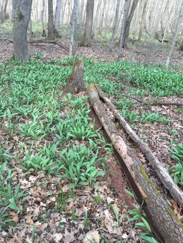 $1,631,000 | E853 Bestul Road, Scandinavia, WI 54977