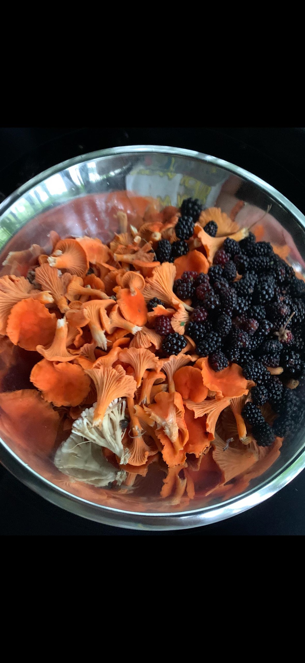 E853 Bestul Road Scandinavia, WI 54977 - Photo 21 of 87