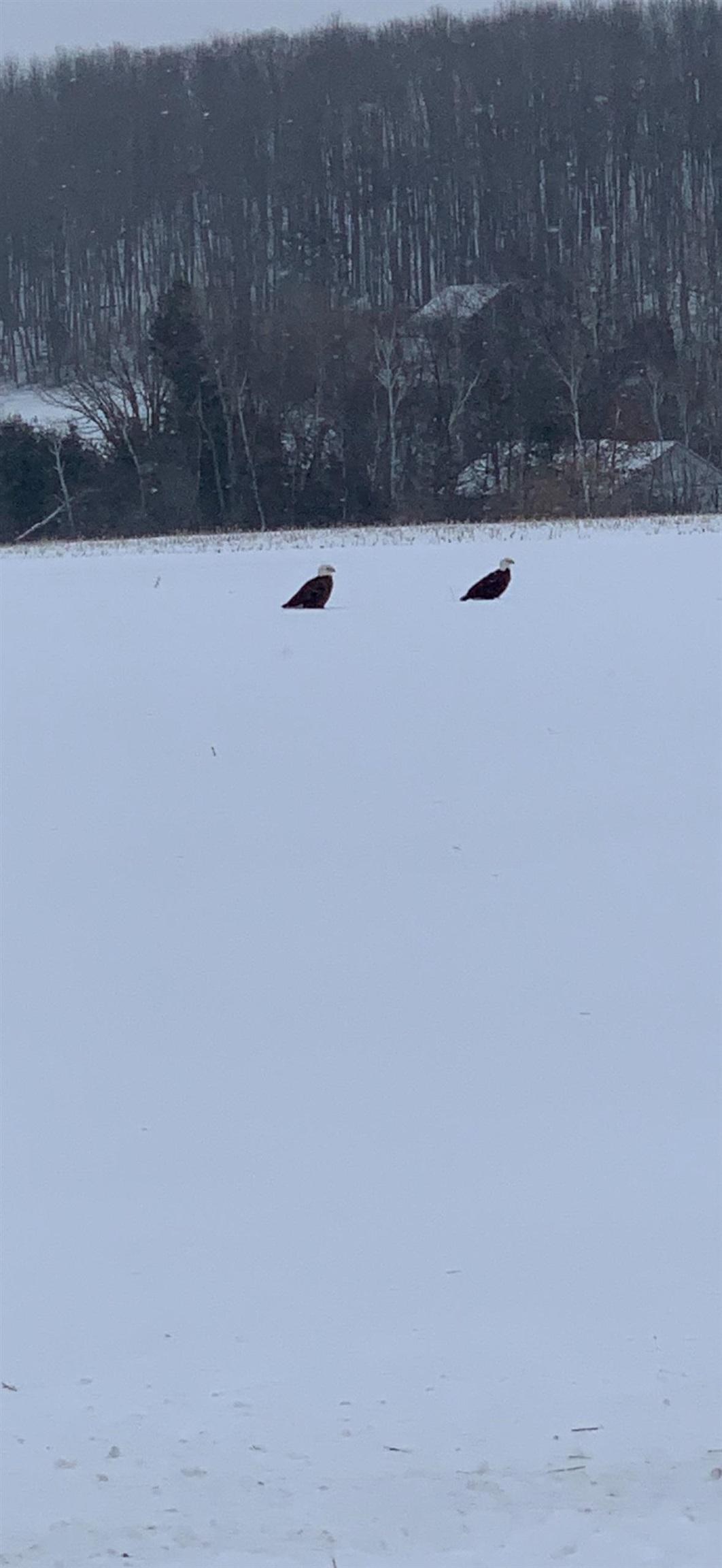 E853 Bestul Road Scandinavia, WI 54977 - Photo 23 of 87