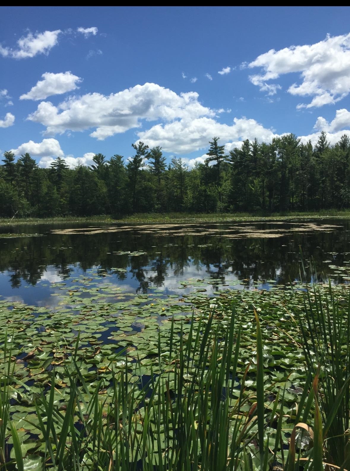 E853 Bestul Road Scandinavia, WI 54977 - Photo 25 of 87
