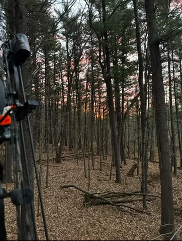 $1,631,000 | E853 Bestul Road, Scandinavia, WI 54977