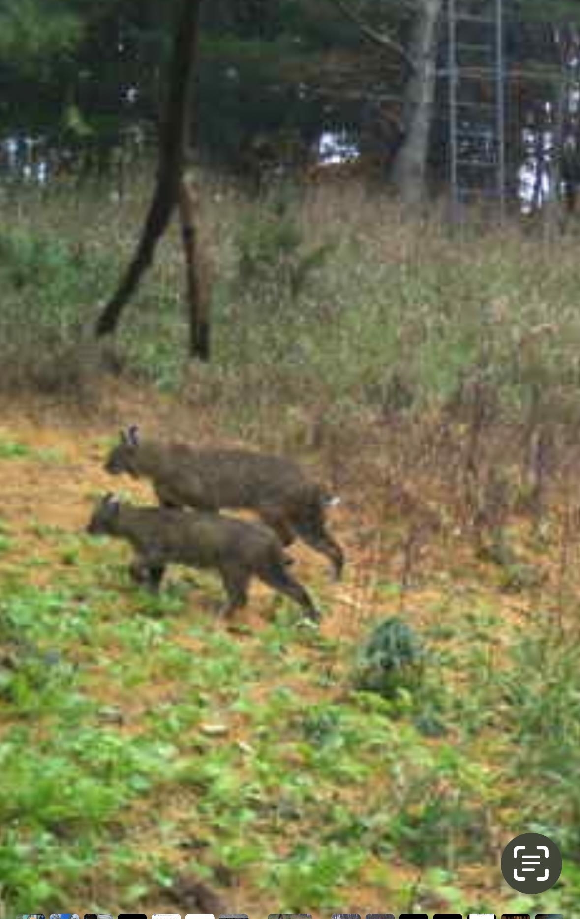 E853 Bestul Road Scandinavia, WI 54977 - Photo 28 of 87