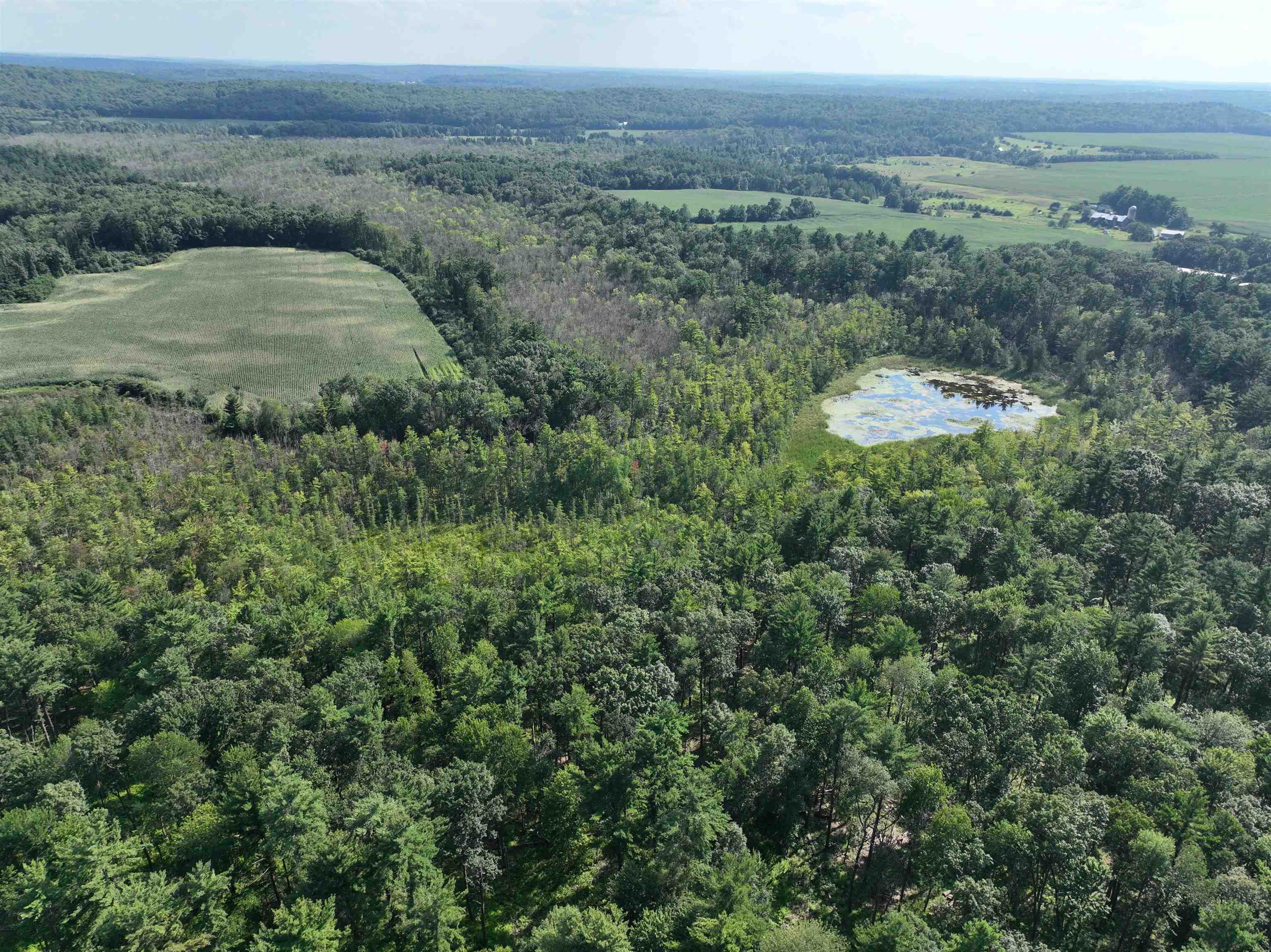 E853 Bestul Road Scandinavia, WI 54977 - Photo 3 of 87