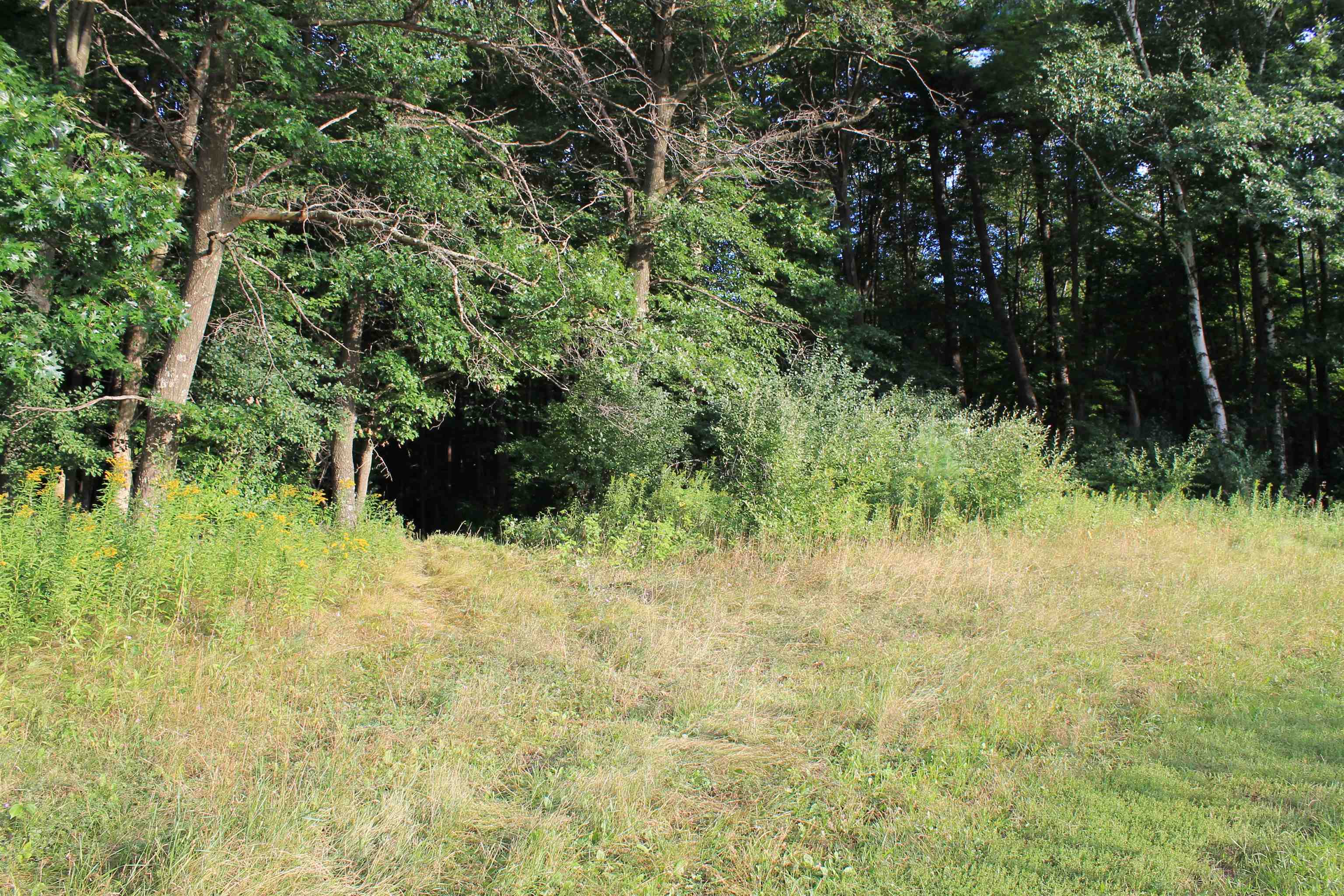 E853 Bestul Road Scandinavia, WI 54977 - Photo 36 of 87