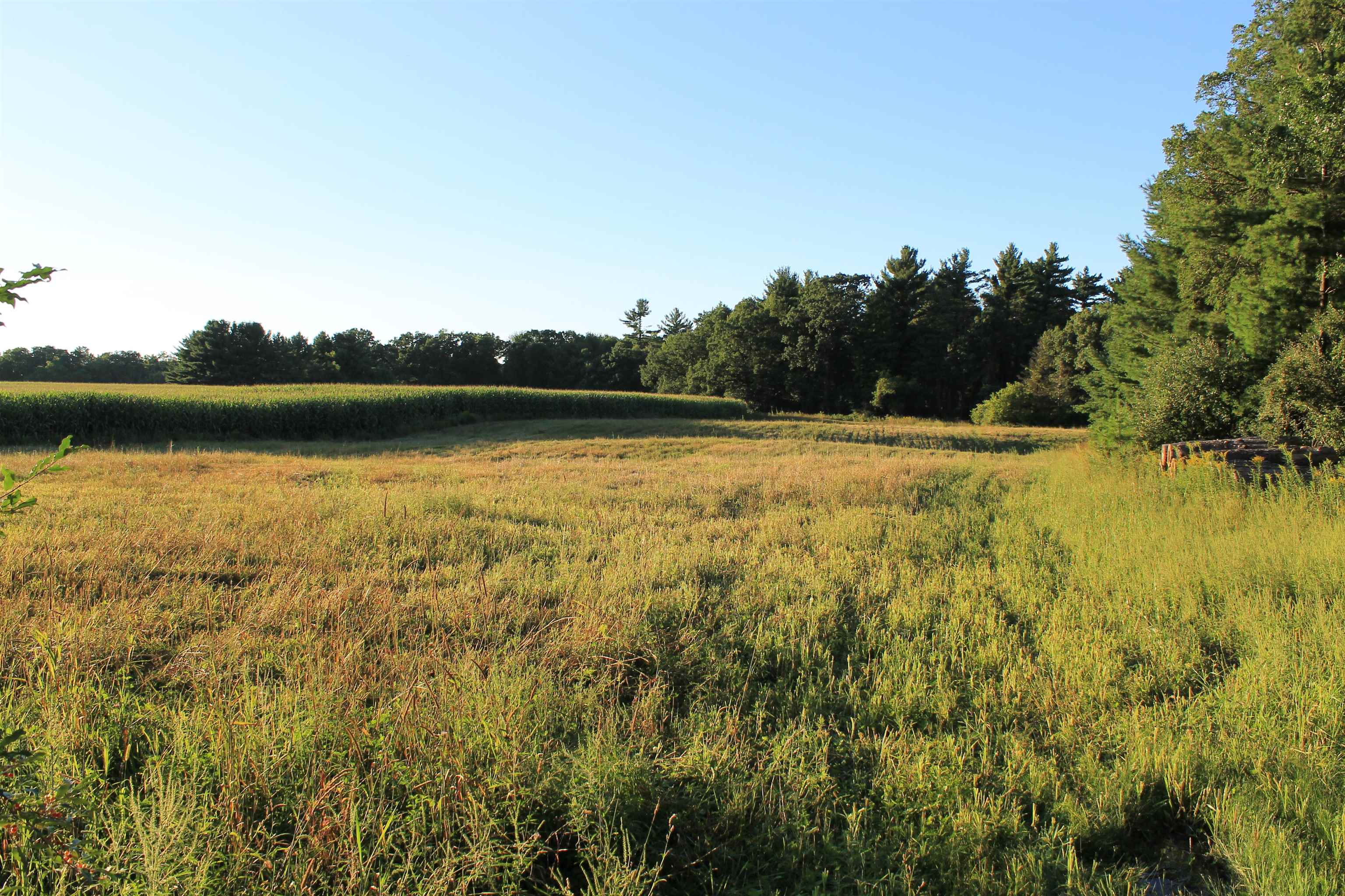 E853 Bestul Road Scandinavia, WI 54977 - Photo 39 of 87