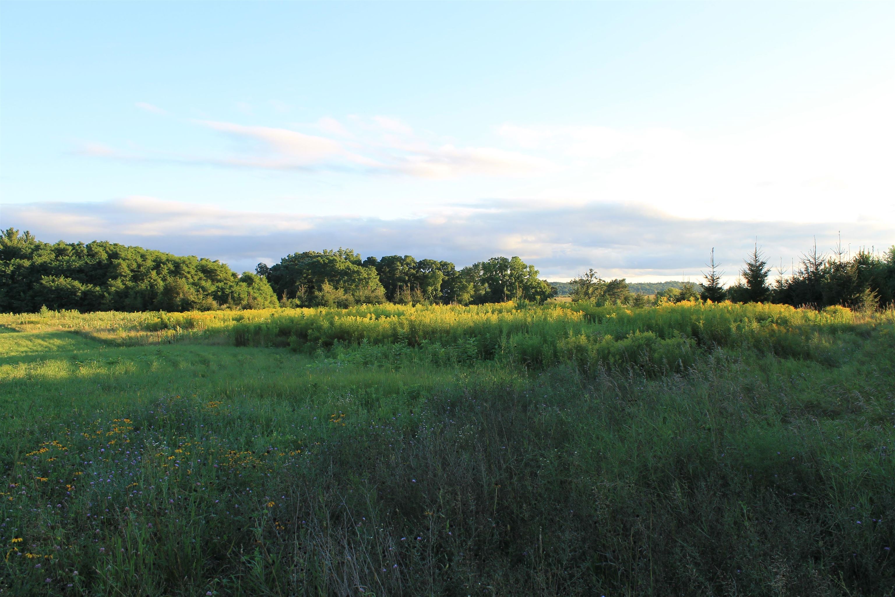 E853 Bestul Road Scandinavia, WI 54977 - Photo 40 of 87