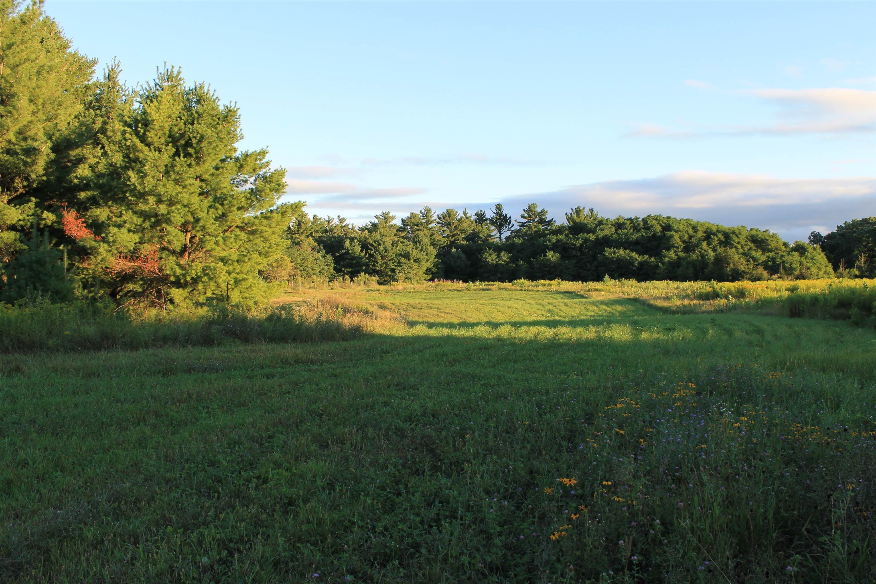 E853 Bestul Road Scandinavia, WI 54977 - Photo 41 of 87