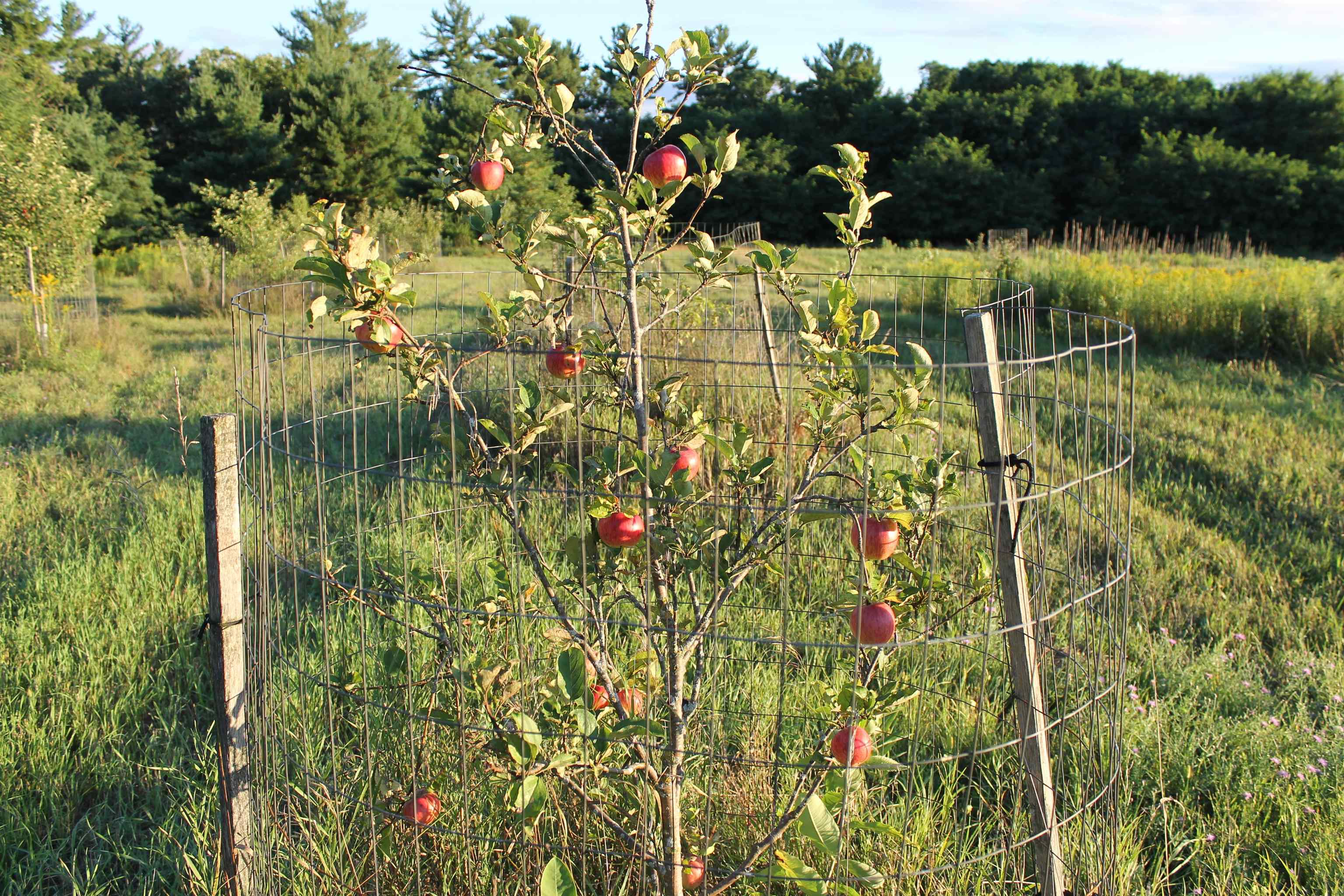 E853 Bestul Road Scandinavia, WI 54977 - Photo 43 of 87