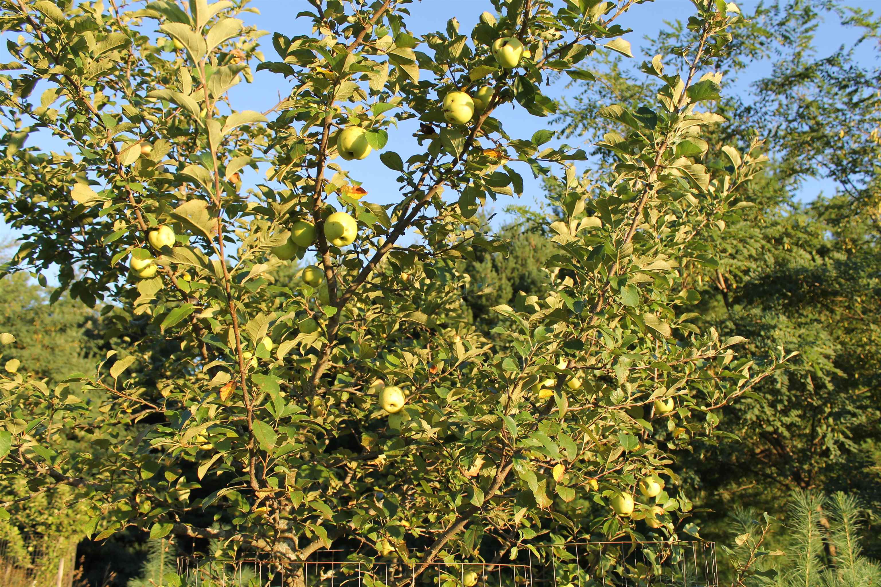 E853 Bestul Road Scandinavia, WI 54977 - Photo 45 of 87