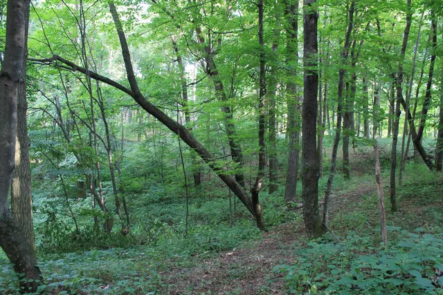 $1,631,000 | E853 Bestul Road, Scandinavia, WI 54977