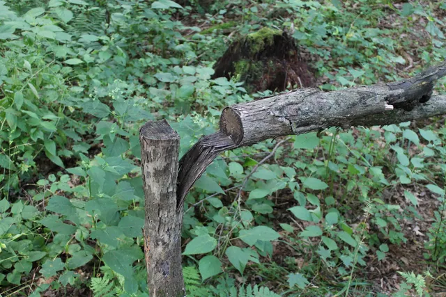 $1,631,000 | E853 Bestul Road, Scandinavia, WI 54977