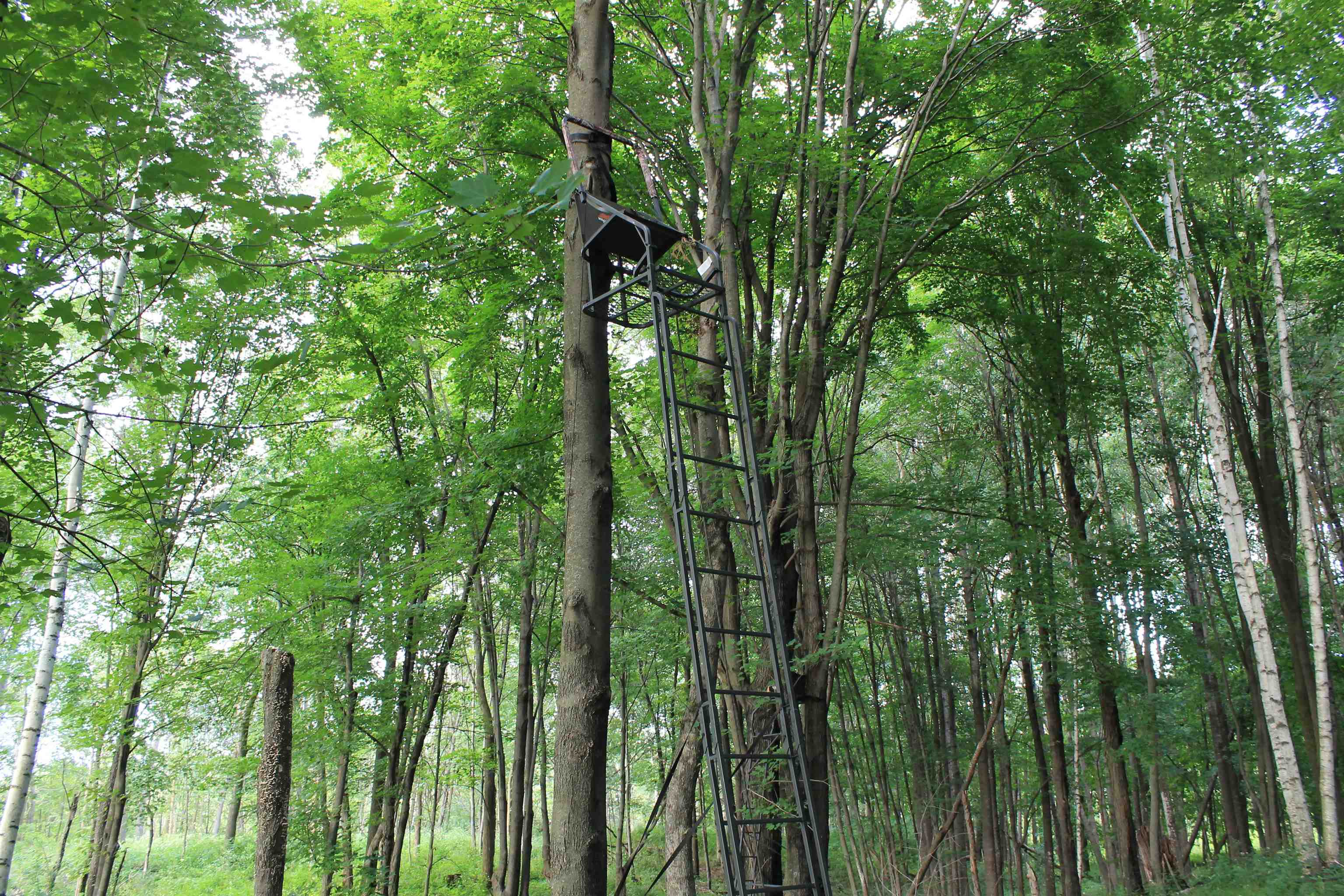 E853 Bestul Road Scandinavia, WI 54977 - Photo 66 of 87