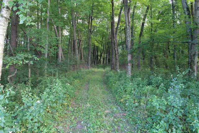 $1,631,000 | E853 Bestul Road, Scandinavia, WI 54977