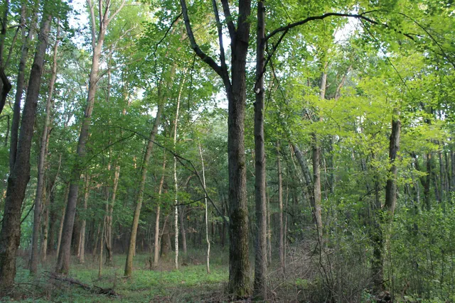 $1,631,000 | E853 Bestul Road, Scandinavia, WI 54977