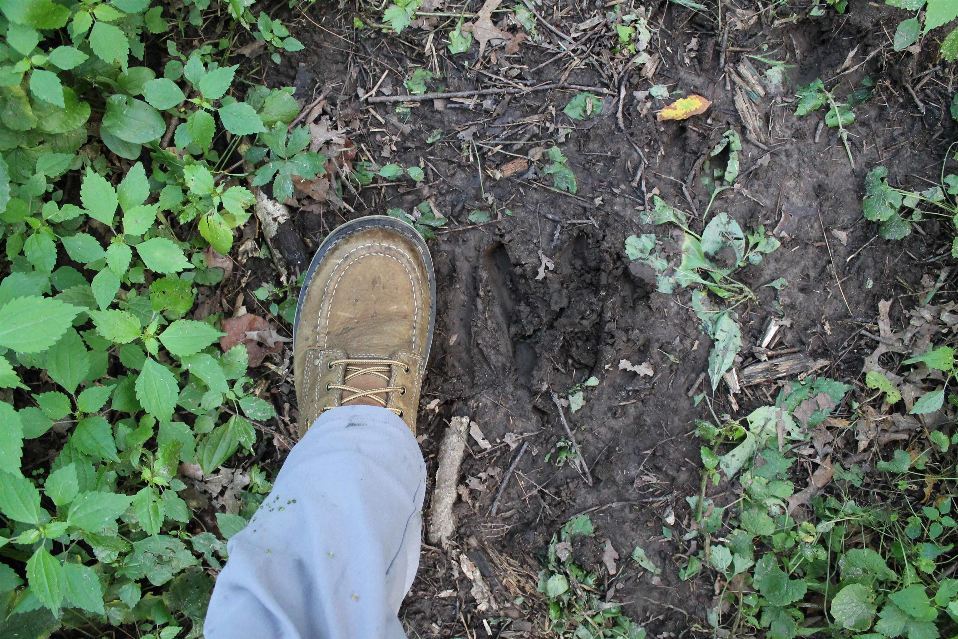 E853 Bestul Road Scandinavia, WI 54977 - Photo 77 of 87