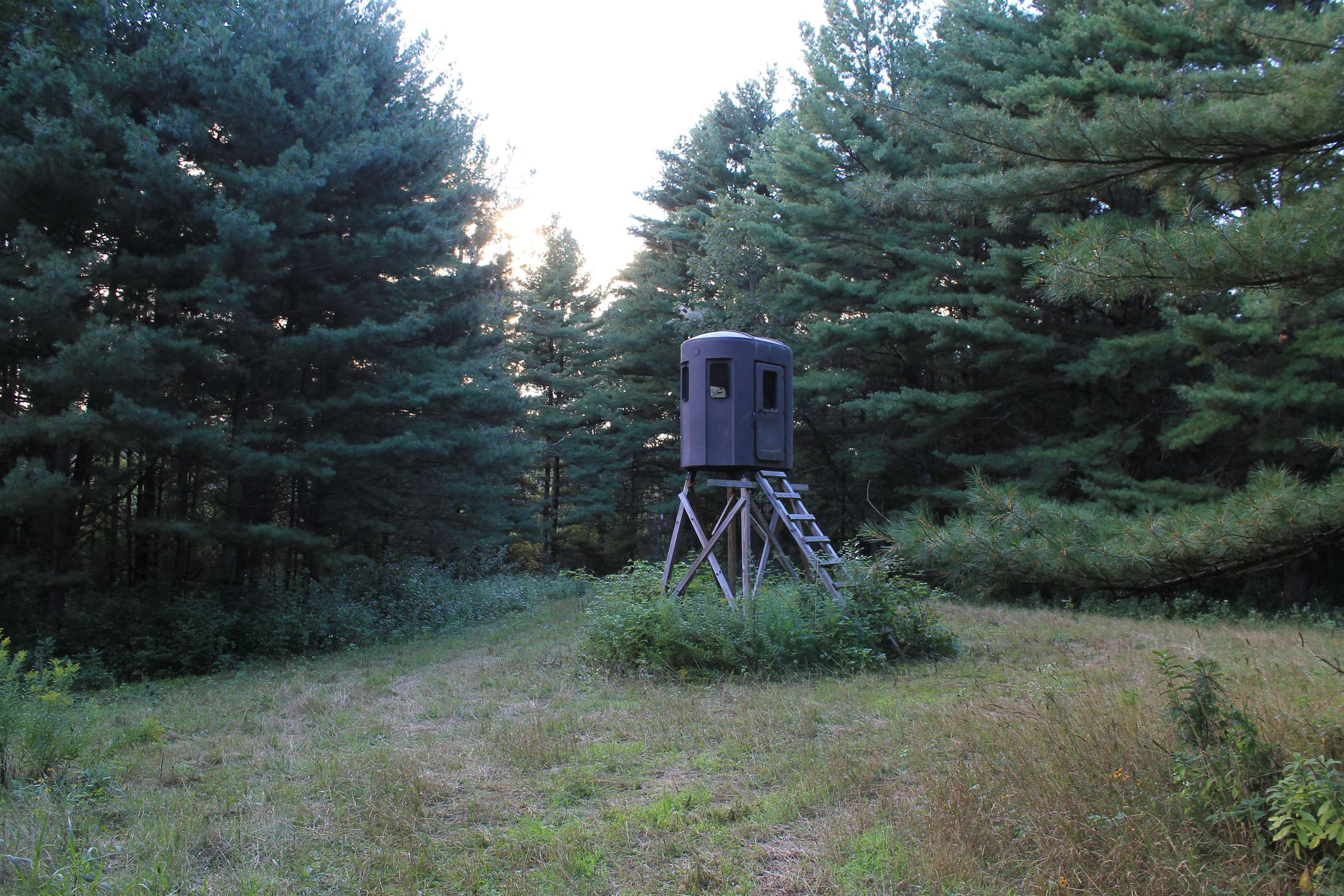 E853 Bestul Road Scandinavia, WI 54977 - Photo 78 of 87