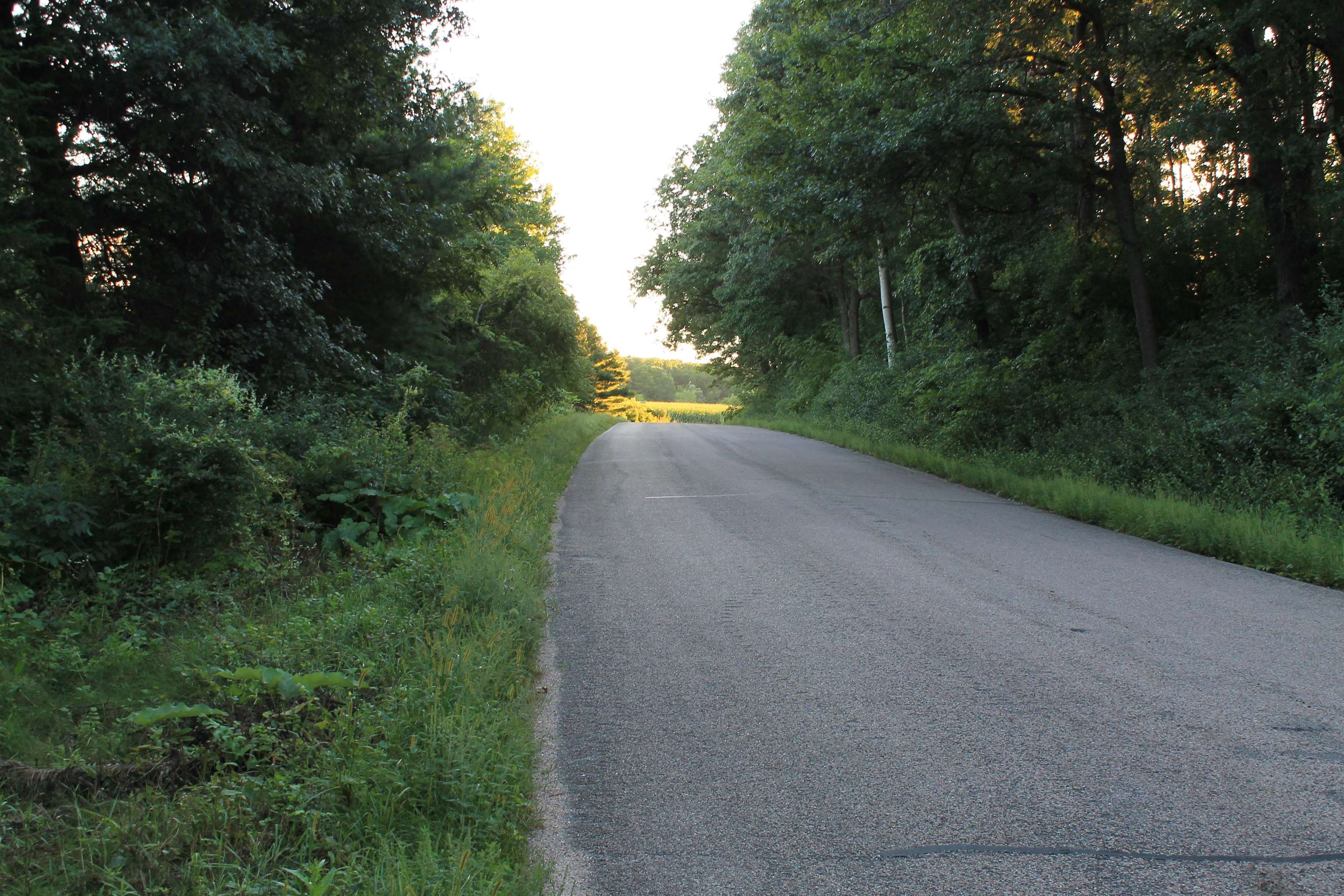 E853 Bestul Road Scandinavia, WI 54977 - Photo 81 of 87