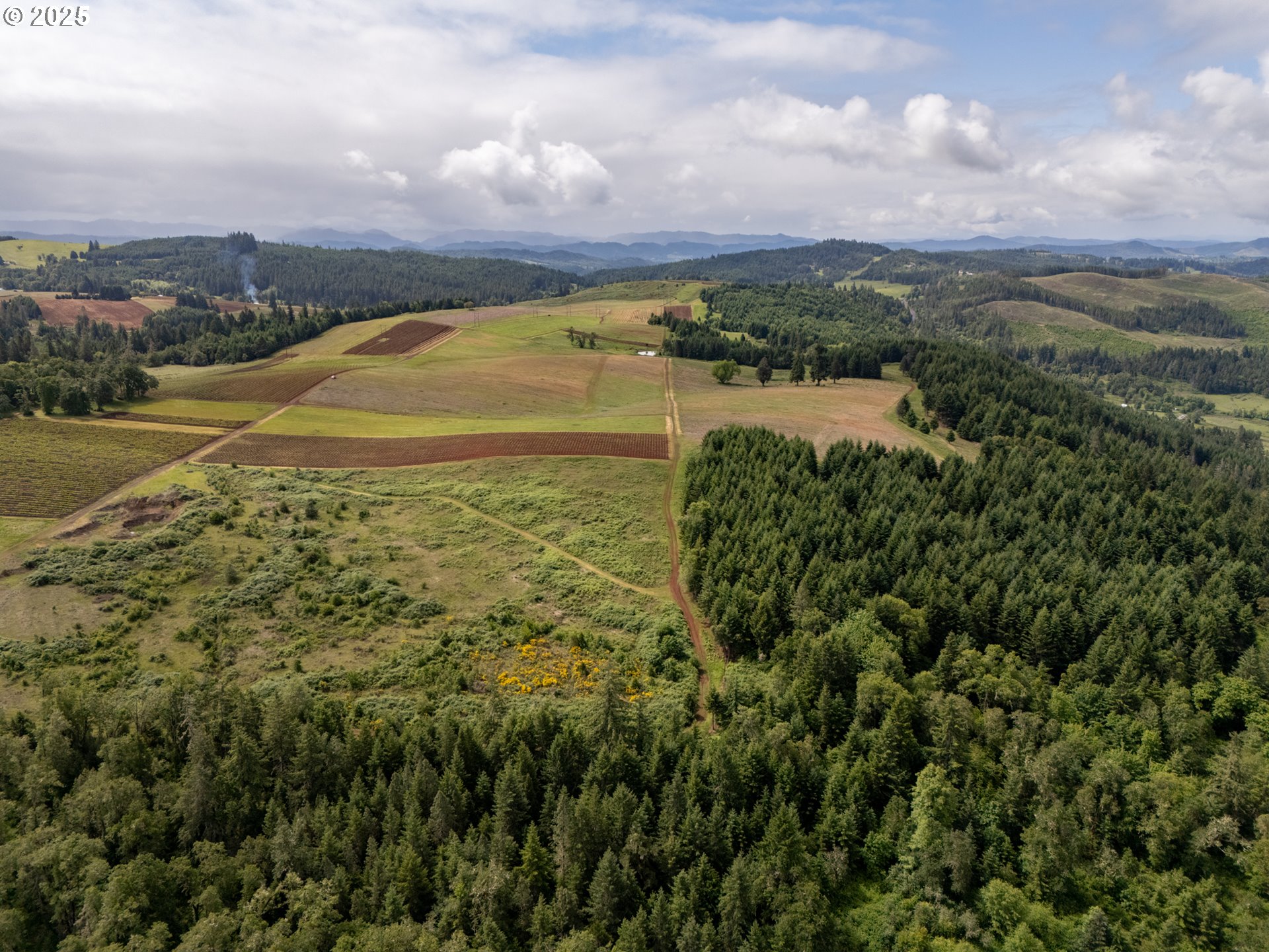 1066 Red Hill Road Oakland, OR 97462 - Photo 29 of 48