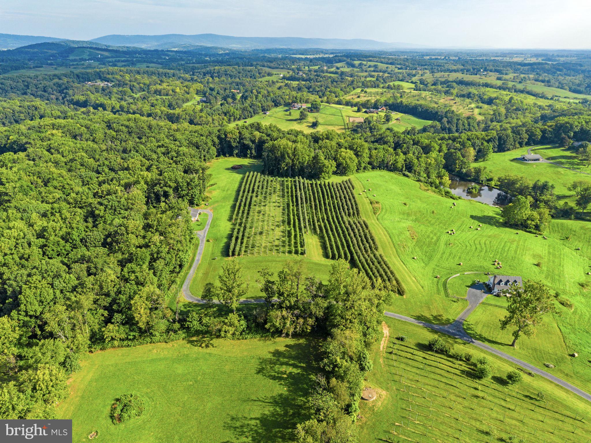 9470 Maidstone Road Delaplane, VA 20144 - Photo 77 of 80 Gallery Image 77