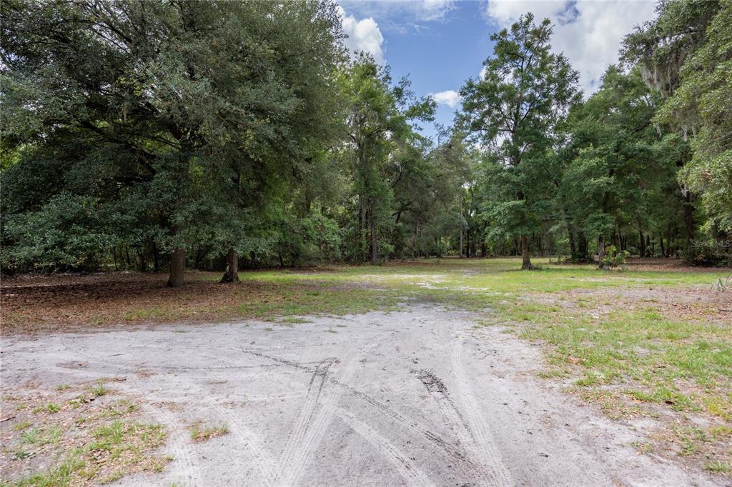 4950 80 Street Chiefland, FL 32626 - Photo 31 of 68 a view of a field with trees in background