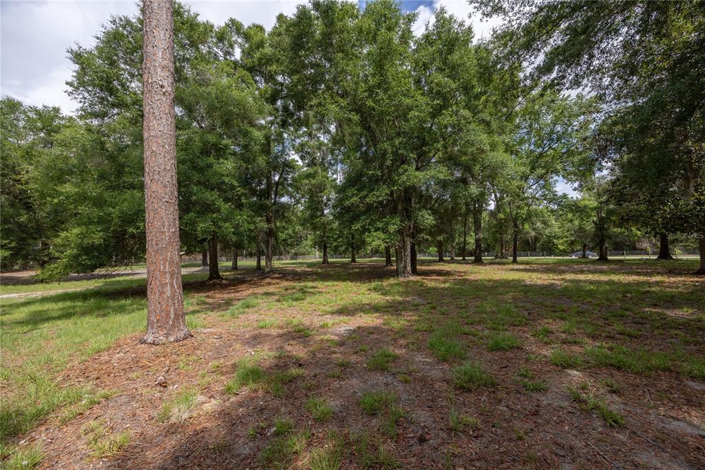 4950 80 Street Chiefland, FL 32626 - Photo 40 of 68 a view of outdoor space with trees