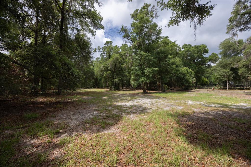 4950 80 Street Chiefland, FL 32626 - Photo 42 of 68 a view of outdoor space with trees all around