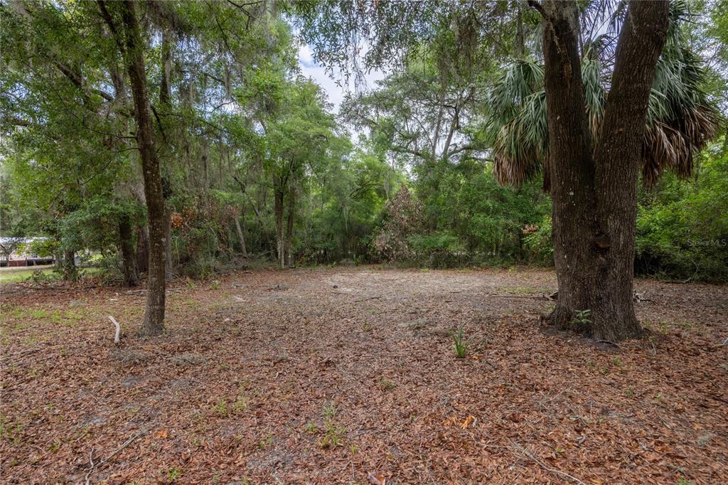 4950 80 Street Chiefland, FL 32626 - Photo 47 of 68 a view of a forest with trees in the background